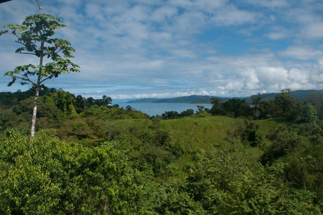 Drake Bay Greenleaf Exterior photo
